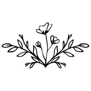 Niarapk.com