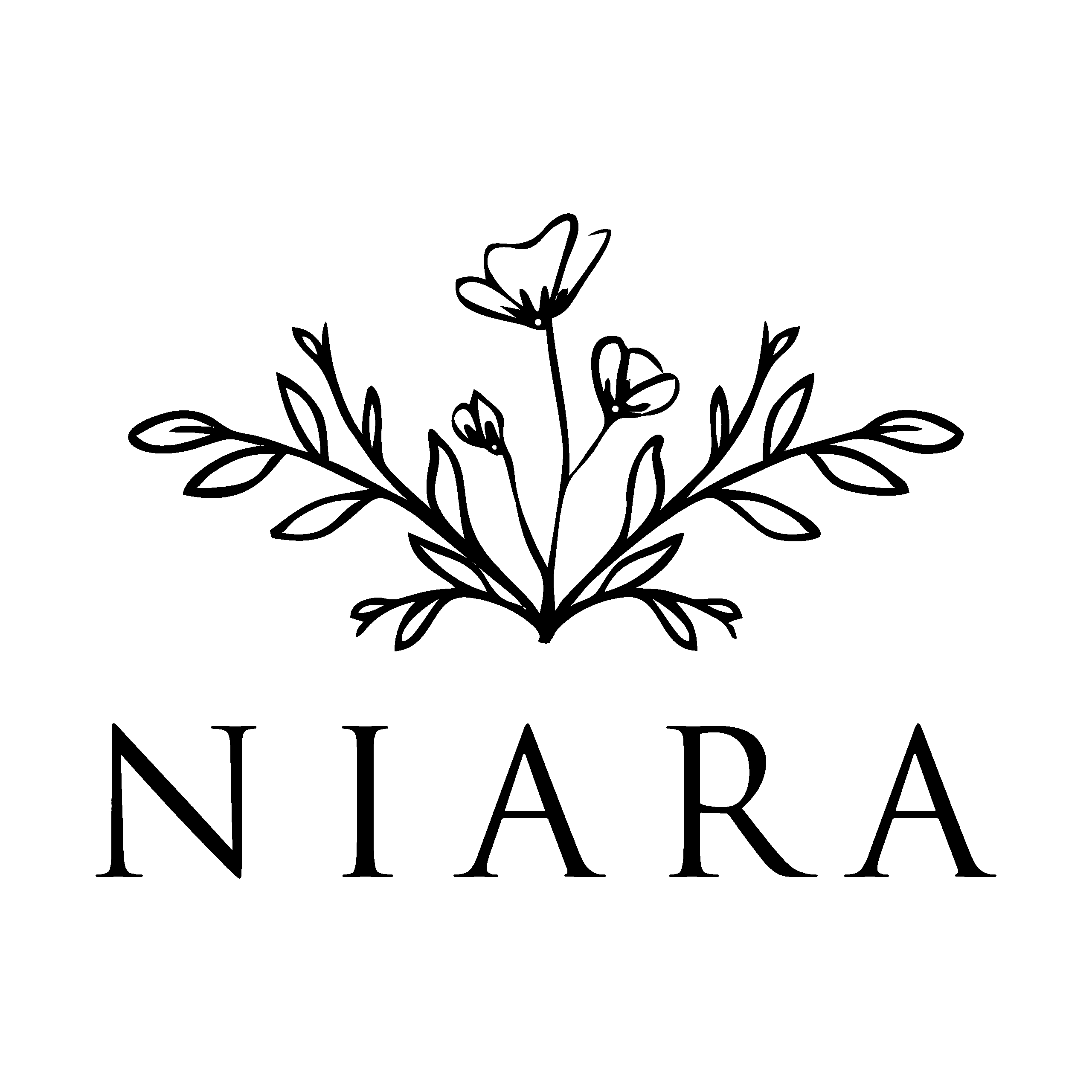 Niarapk.com